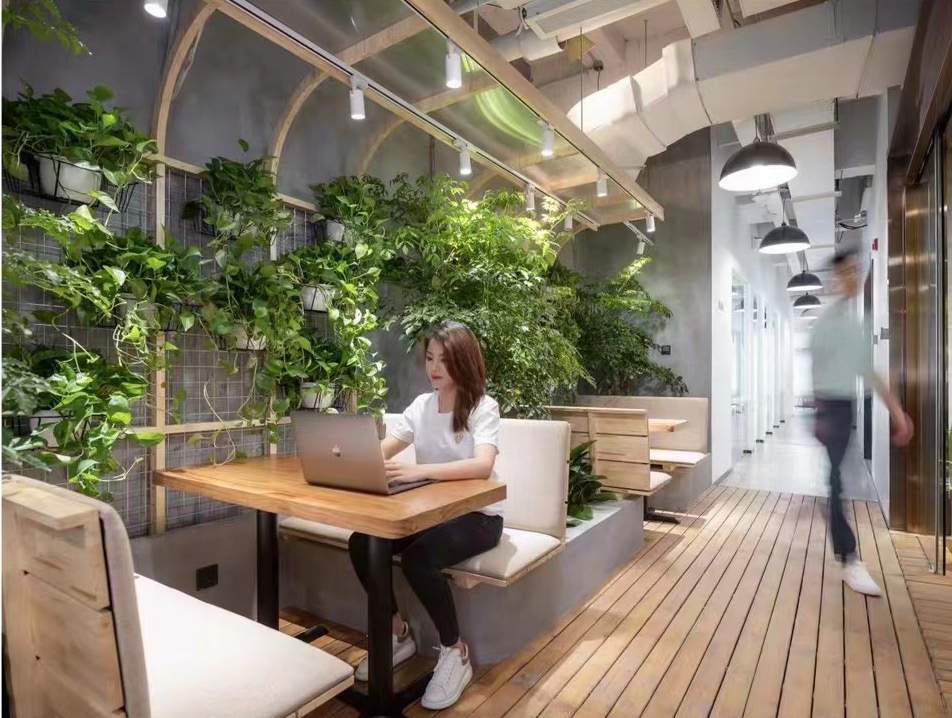 Planted seating nook with a timber table