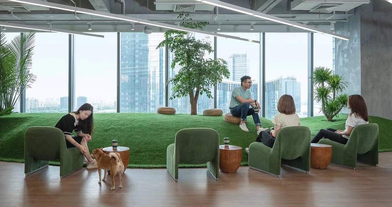 Daylit shared lounge overlooking the city
